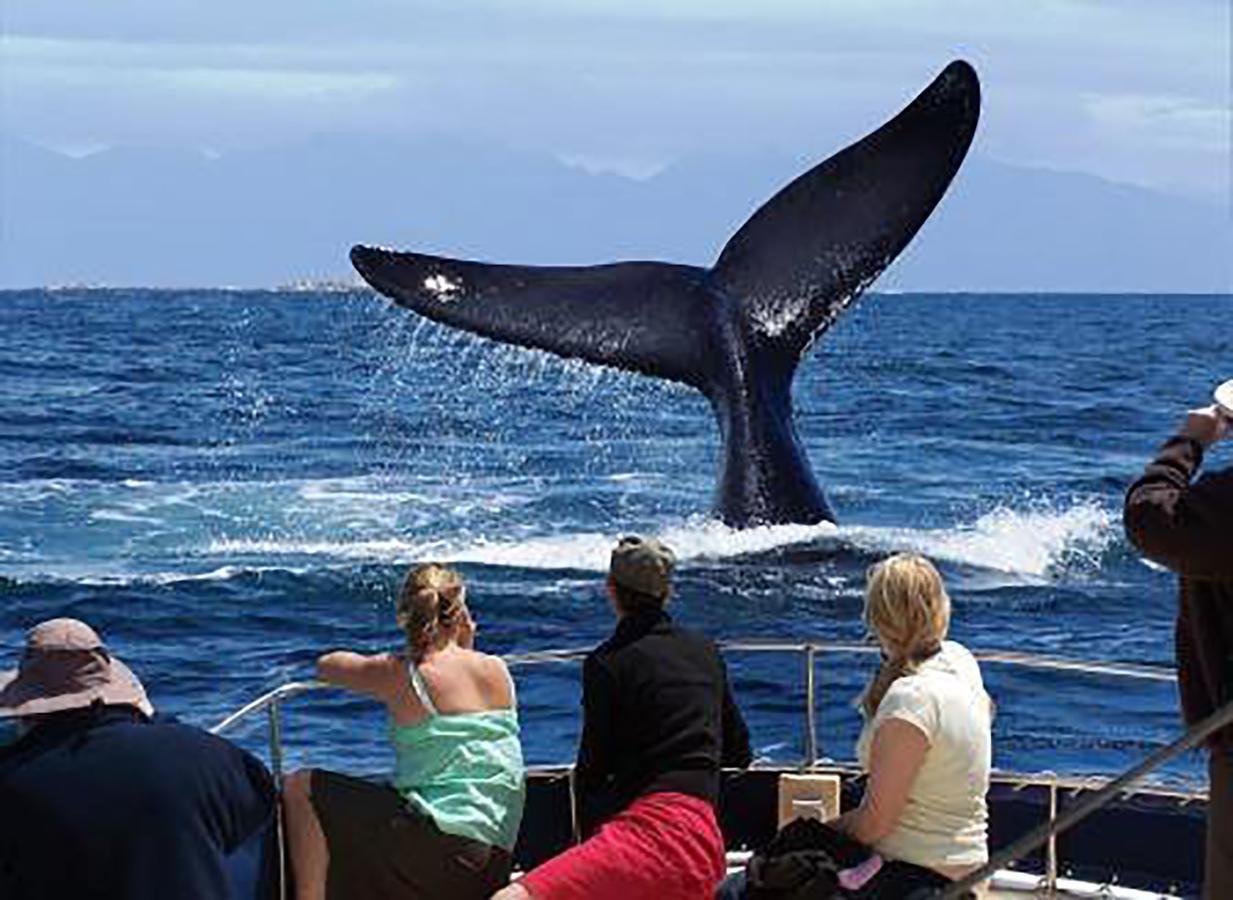 Fish Hoek Whale Watchers Apartments Luaran gambar
